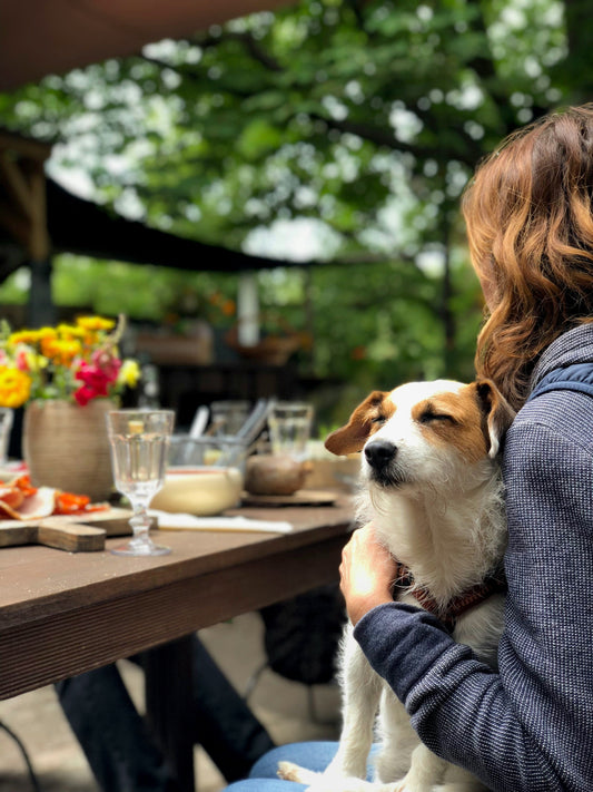 Dog Mum Gifts: The Non-Birthday Idea She Actually Wants