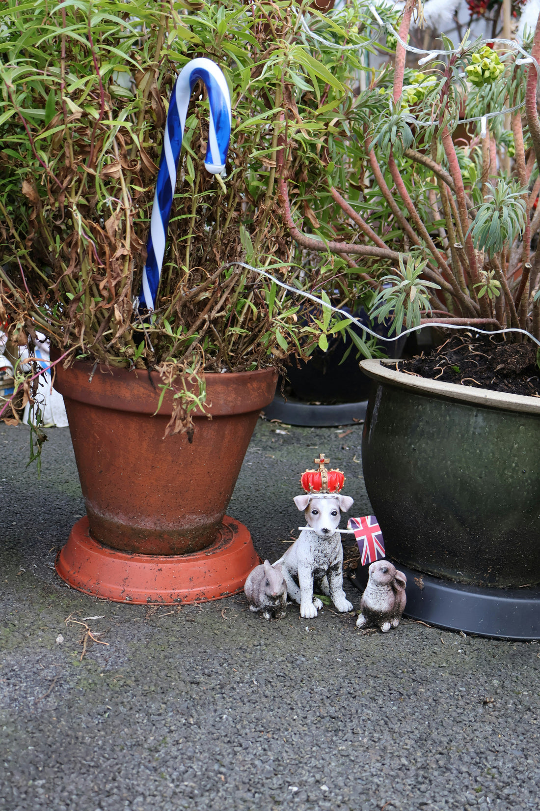 Personalised Pet Gifts UK: The Most Unique Ideas for British Pet Lovers