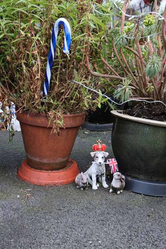 Personalised Pet Gifts UK: The Most Unique Ideas for British Pet Lovers