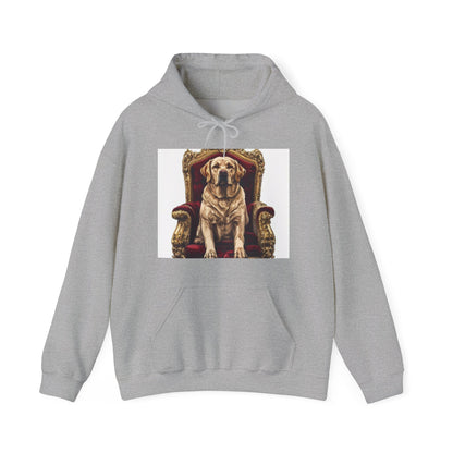 Custom Pet Portrait Unisex Pullover Hoodie | Funny Pet Gift